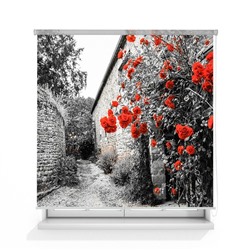 Рулонная штора ролло лен "Красные розы"  (d-201001-gr)