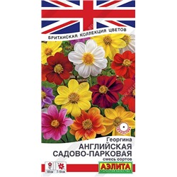 Георгина Английская садово-парковая, смесь (Код: 89523)