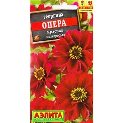 Георгина Опера Красная (Код: 82944)
