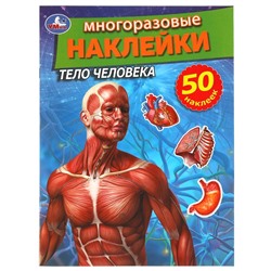 Активити с многоразовыми наклейками. Тело человека. 210х285мм. 8 стр. + 50 наклеек. Умка