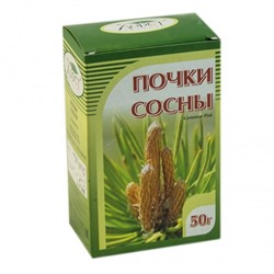 Почки сосны