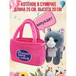 Сумка + кошка с музыкой - 25см