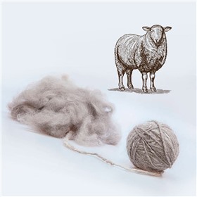 Одежда из овечьей шерсти