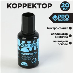 Корректор с кисточкой на водной основе, 20 мл PROвыбор "Черный неон"