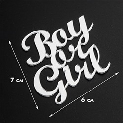 Топпер без шпажки "Boy or Girl" серебряный 7*7 см