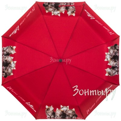 Зонт "Маленькие мейн-куны" RainLab 040