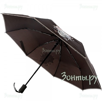 Зонтик для женщин ArtRain 3912-11