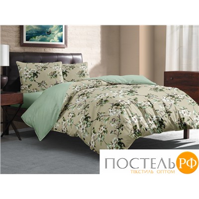 КПБ CL HOME Поплин "Pure Cotton" евро 200*220*1 220*240*1(±5) 50*70*2(±2) 70*70*2(±2) 31/288-PCE