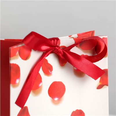 Пакет подарочный с лентой «От всего сердца», 13 × 23 × 7 см